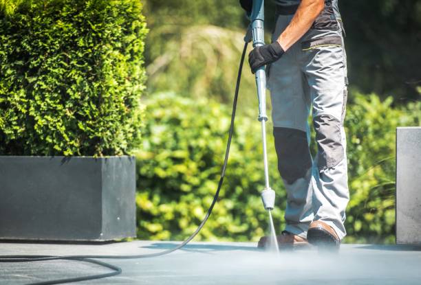Best Playground Equipment Cleaning  in Palm Shores, FL