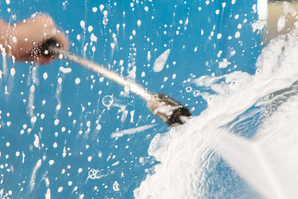 Pre-Holiday Cleaning in Palm Shores, FL