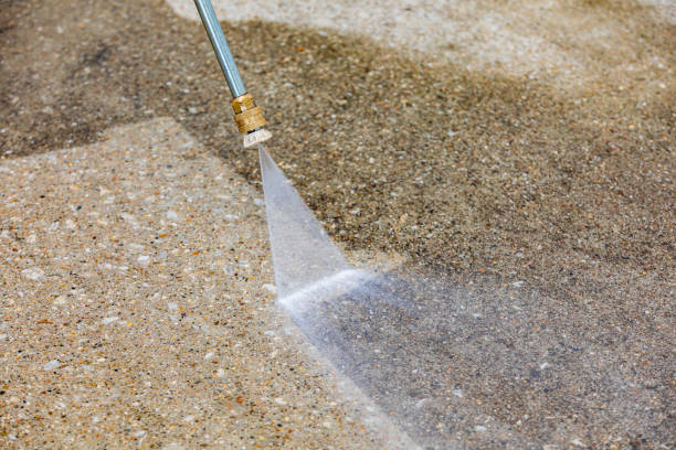 Best Warehouse Cleaning  in Palm Shores, FL