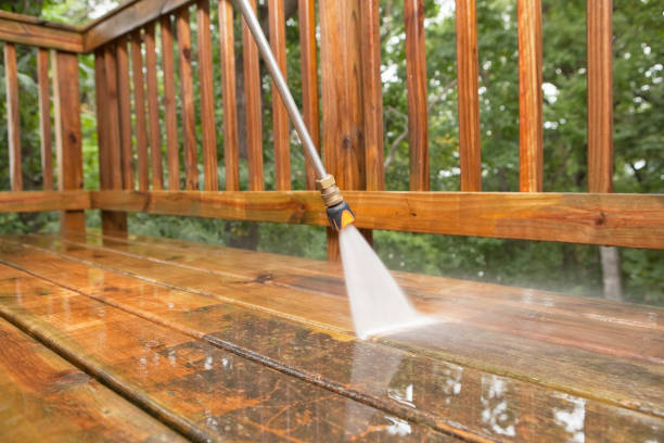 Best Spring Cleaning  in Palm Shores, FL